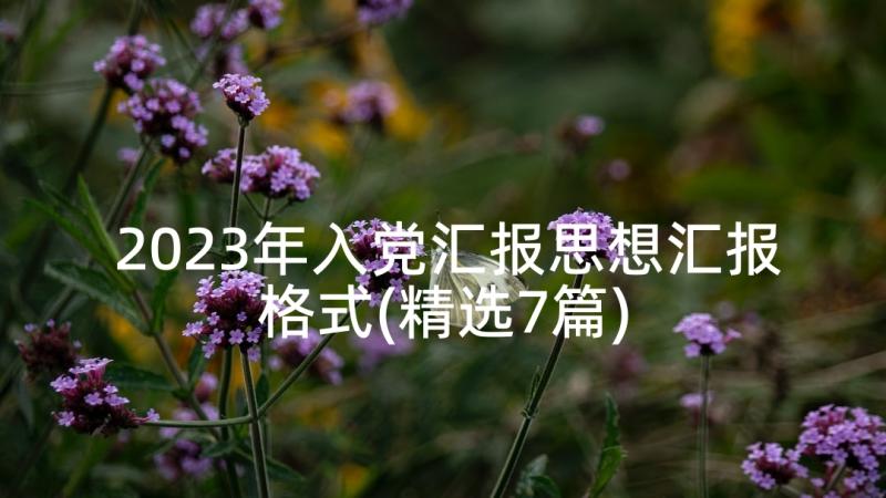 2023年入党汇报思想汇报格式(精选7篇)