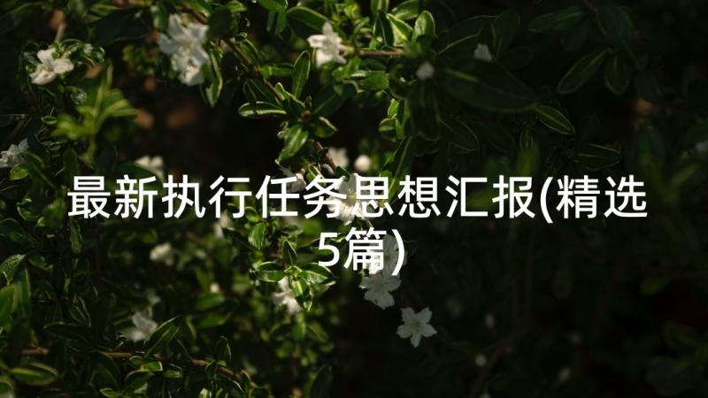 最新执行任务思想汇报(精选5篇)