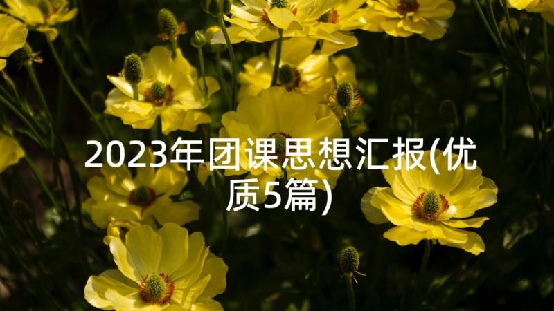 2023年团课思想汇报(优质5篇)