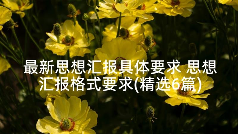 最新思想汇报具体要求 思想汇报格式要求(精选6篇)