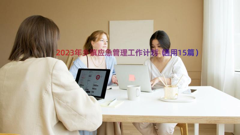 2023年乡镇应急管理工作计划（通用15篇）