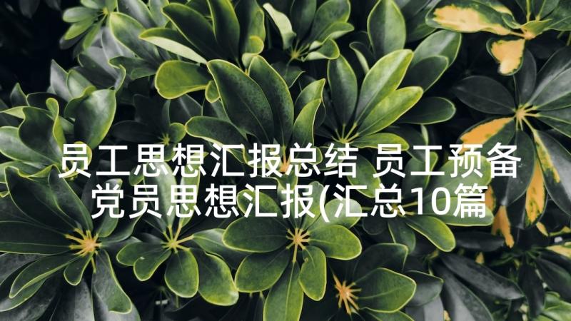 员工思想汇报总结 员工预备党员思想汇报(汇总10篇)