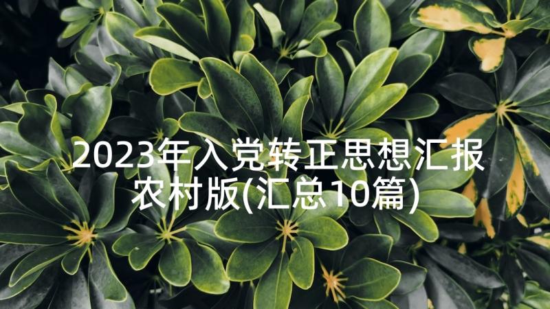 2023年入党转正思想汇报农村版(汇总10篇)