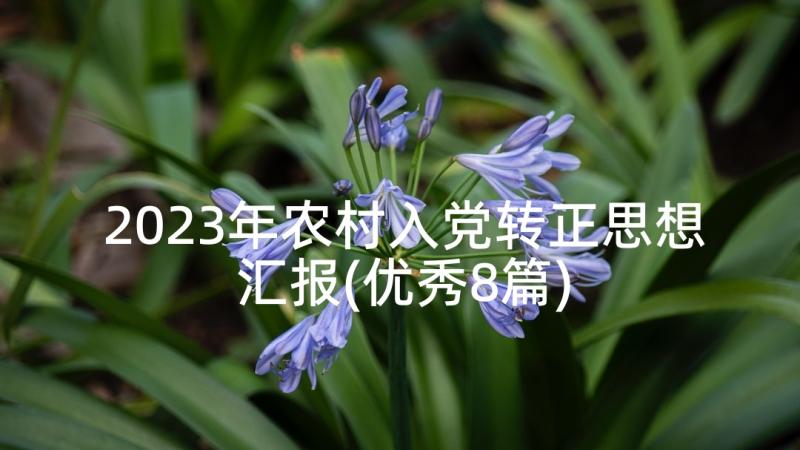 2023年农村入党转正思想汇报(优秀8篇)