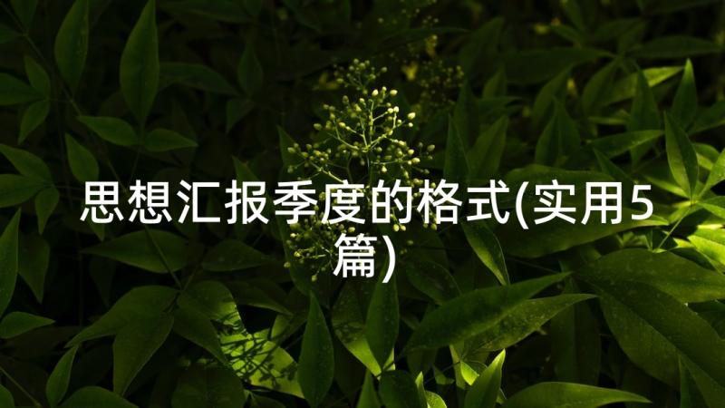 思想汇报季度的格式(实用5篇)