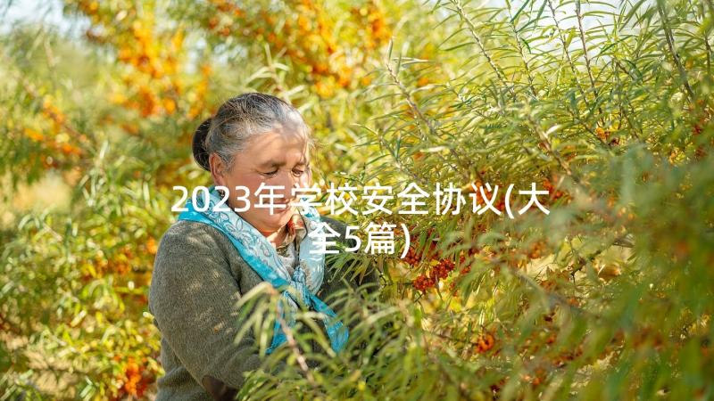 2023年学校安全协议(大全5篇)