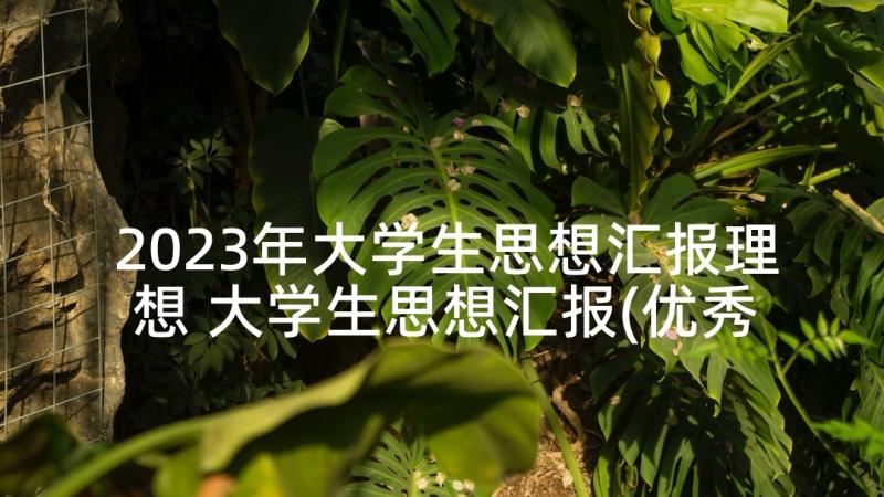 2023年大学生思想汇报理想 大学生思想汇报(优秀8篇)