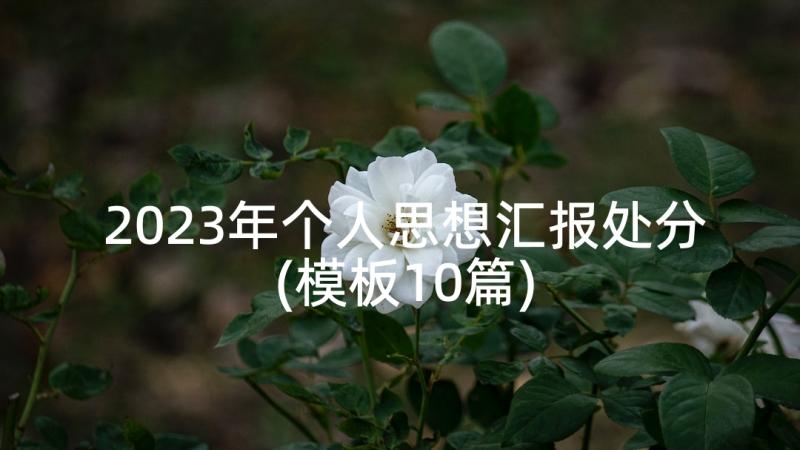 2023年个人思想汇报处分(模板10篇)