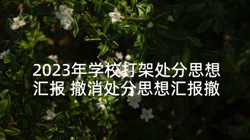 2023年学校打架处分思想汇报 撤消处分思想汇报撤消处分思想汇报(汇总8篇)