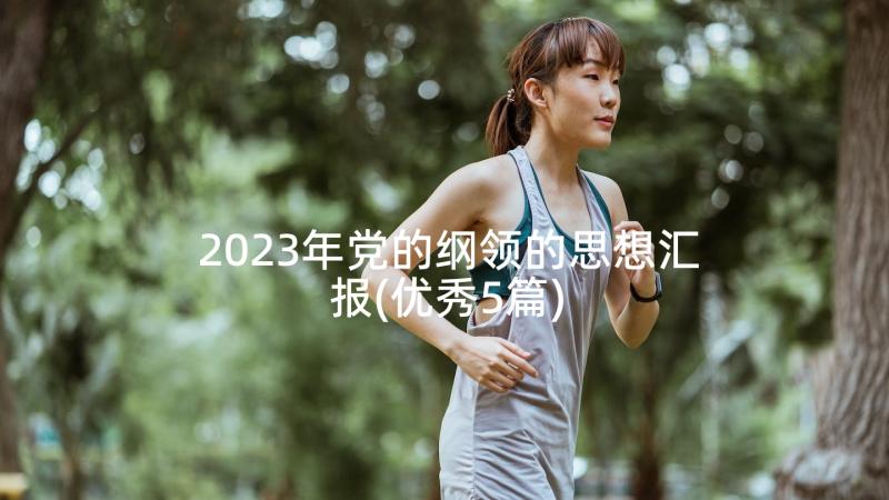 2023年党的纲领的思想汇报(优秀5篇)