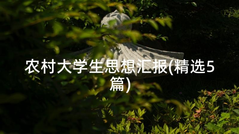 农村大学生思想汇报(精选5篇)