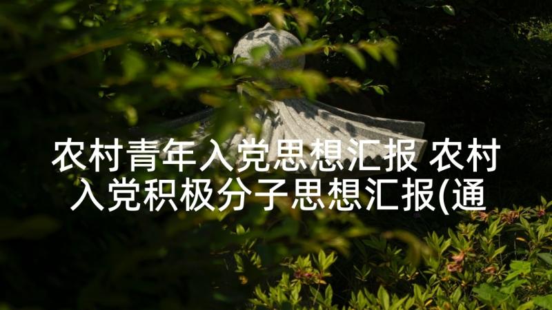 农村青年入党思想汇报 农村入党积极分子思想汇报(通用10篇)