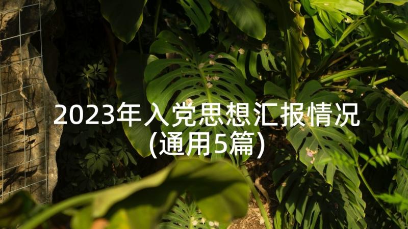 2023年入党思想汇报情况(通用5篇)