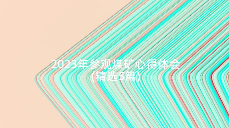 2023年参观煤矿心得体会(精选5篇)