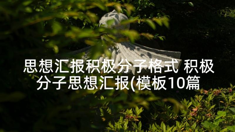 思想汇报积极分子格式 积极分子思想汇报(模板10篇)