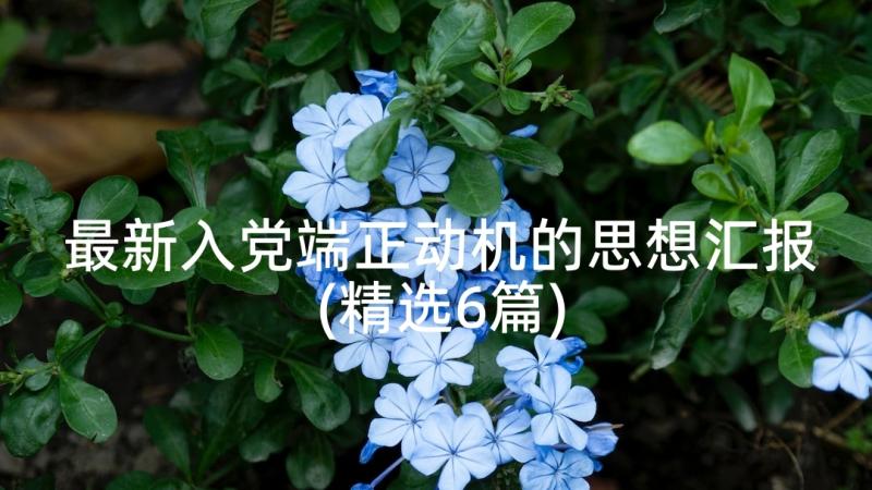 最新入党端正动机的思想汇报(精选6篇)