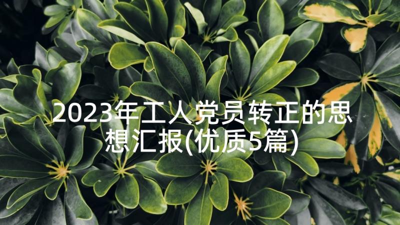 2023年工人党员转正的思想汇报(优质5篇)