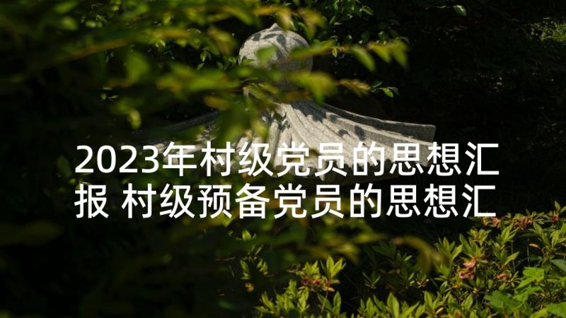 2023年村级党员的思想汇报 村级预备党员的思想汇报(实用5篇)