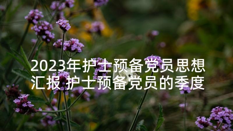 2023年护士预备党员思想汇报 护士预备党员的季度思想汇报(模板5篇)