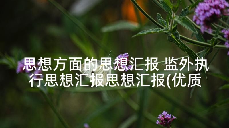 思想方面的思想汇报 监外执行思想汇报思想汇报(优质9篇)