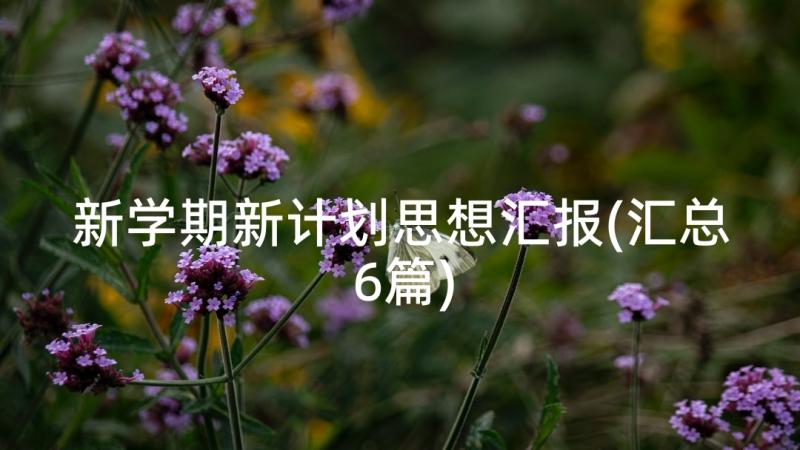 新学期新计划思想汇报(汇总6篇)