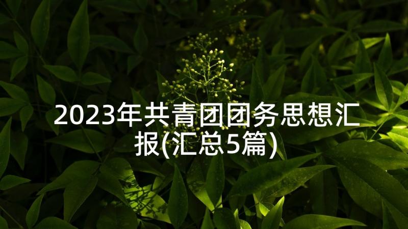 2023年共青团团务思想汇报(汇总5篇)