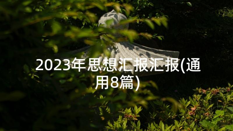 2023年思想汇报汇报(通用8篇)