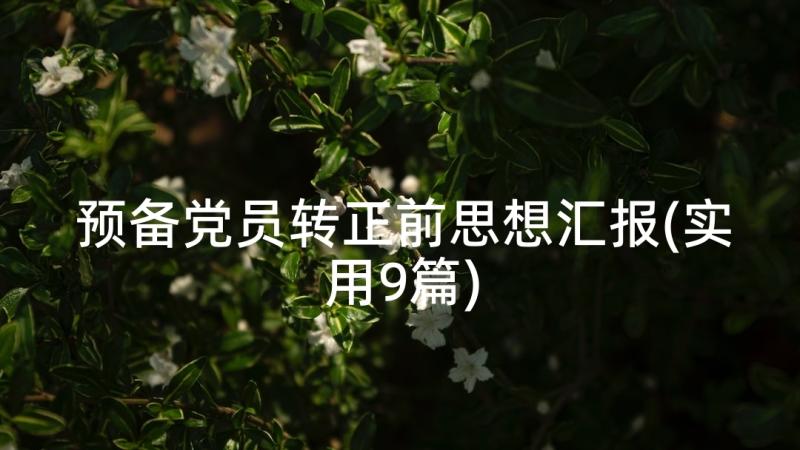 预备党员转正前思想汇报(实用9篇)