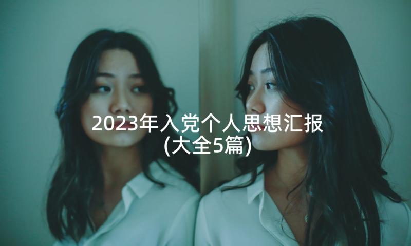 2023年入党个人思想汇报(大全5篇)