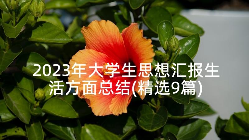 2023年大学生思想汇报生活方面总结(精选9篇)