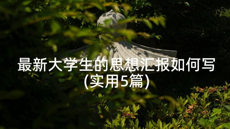 最新大学生的思想汇报如何写(实用5篇)