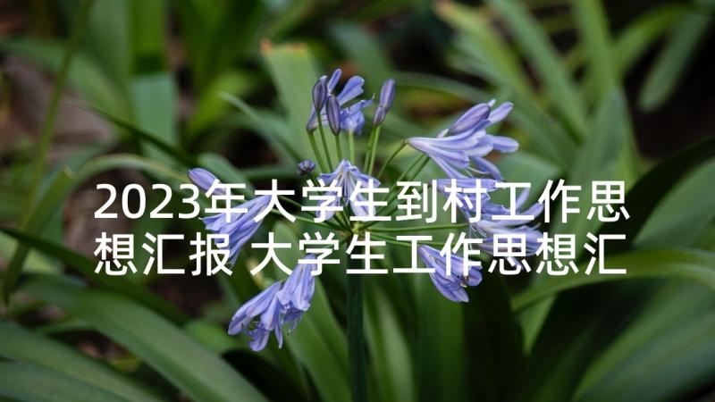 2023年大学生到村工作思想汇报 大学生工作思想汇报(优质5篇)