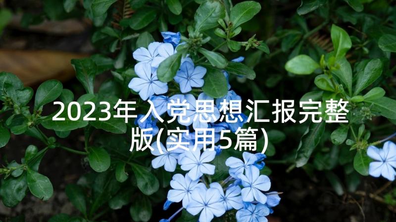 2023年入党思想汇报完整版(实用5篇)