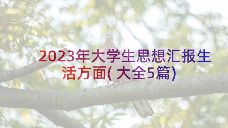 2023年大学生思想汇报生活方面(大全5篇)