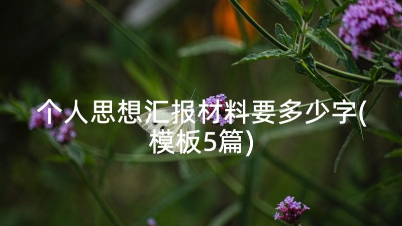 个人思想汇报材料要多少字(模板5篇)