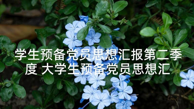 学生预备党员思想汇报第二季度 大学生预备党员思想汇报(实用8篇)