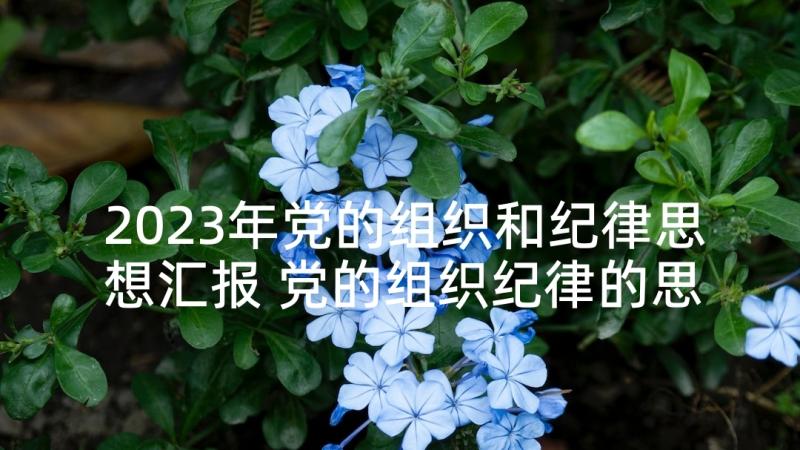 2023年党的组织和纪律思想汇报 党的组织纪律的思想汇报(优质5篇)