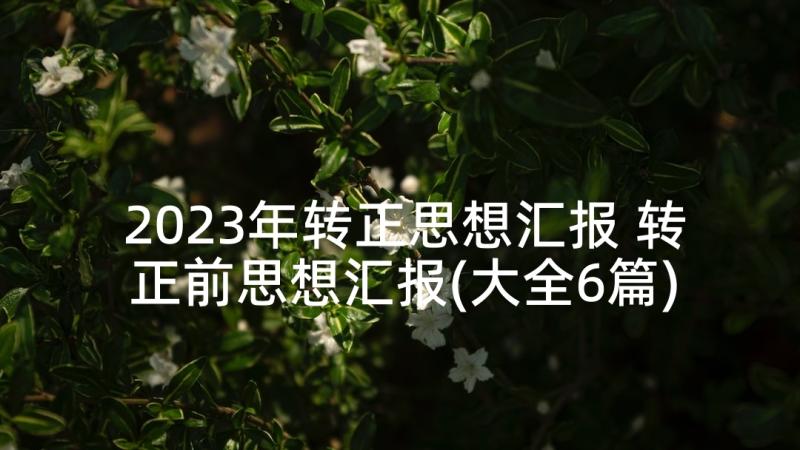 2023年转正思想汇报 转正前思想汇报(大全6篇)