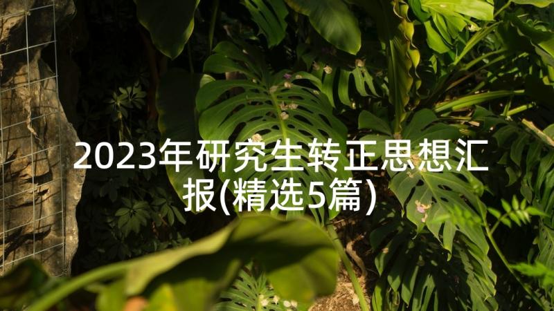 2023年研究生转正思想汇报(精选5篇)