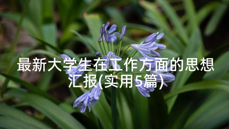 最新大学生在工作方面的思想汇报(实用5篇)