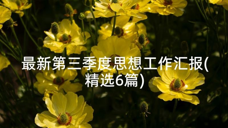 最新第三季度思想工作汇报(精选6篇)