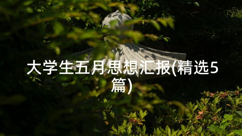 大学生五月思想汇报(精选5篇)