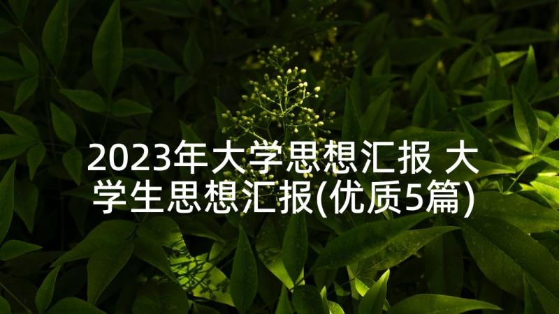 2023年大学思想汇报 大学生思想汇报(优质5篇)