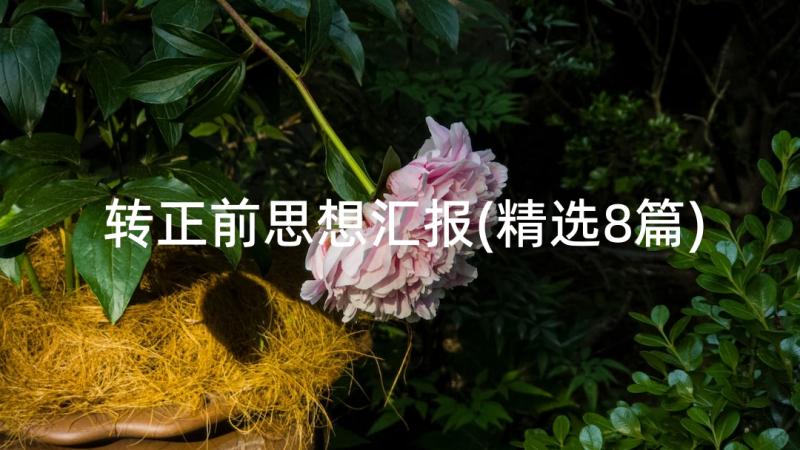 转正前思想汇报(精选8篇)