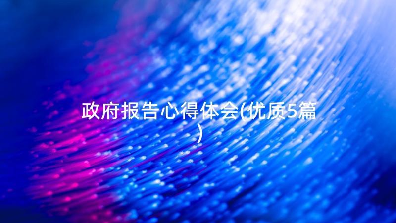 政府报告心得体会(优质5篇)