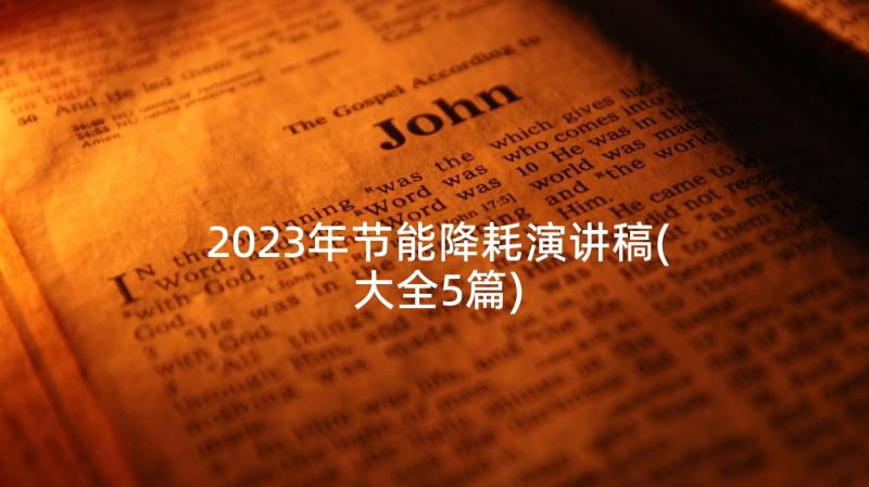 2023年节能降耗演讲稿(大全5篇)