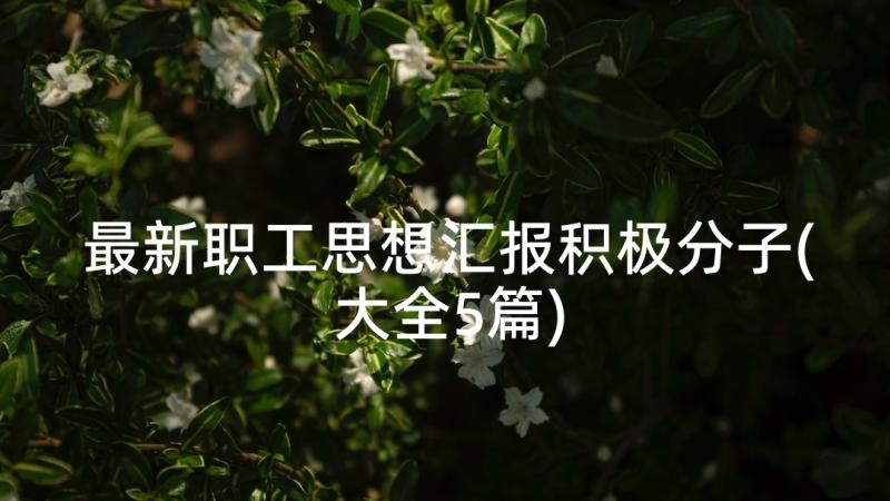 最新职工思想汇报积极分子(大全5篇)