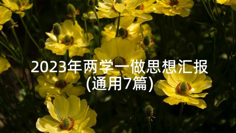 2023年两学一做思想汇报(通用7篇)