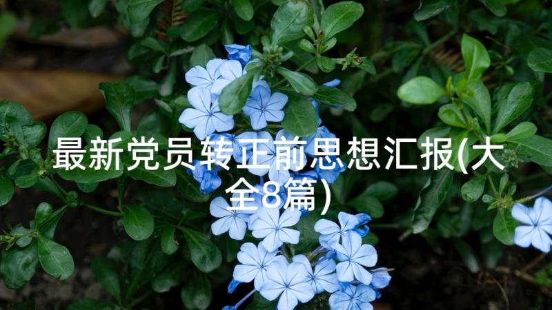 最新党员转正前思想汇报(大全8篇)