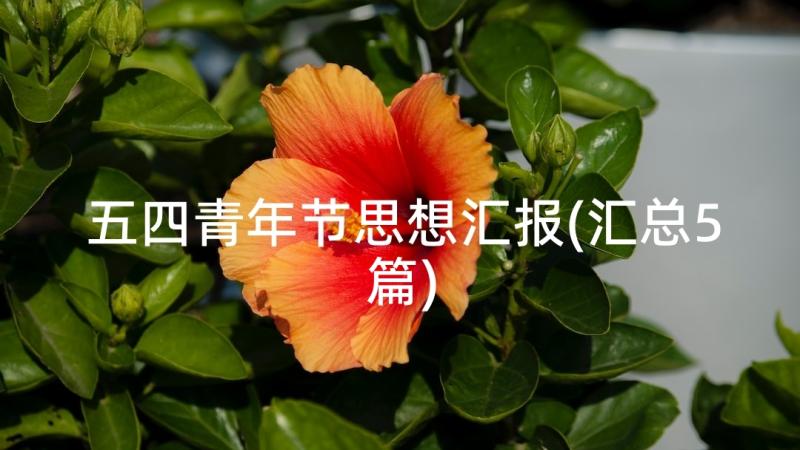 五四青年节思想汇报(汇总5篇)